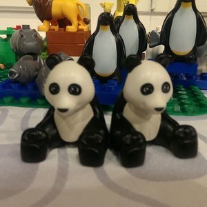 Meet your Posher, Xavier